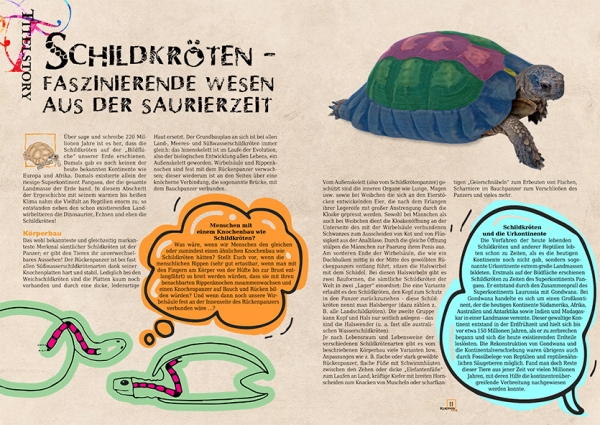 MARGINATA KIDS 1 - Schildkröten