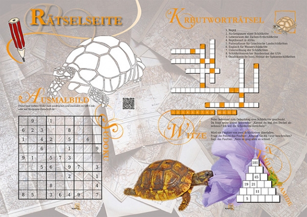 MARGINATA KIDS 1 - Schildkröten