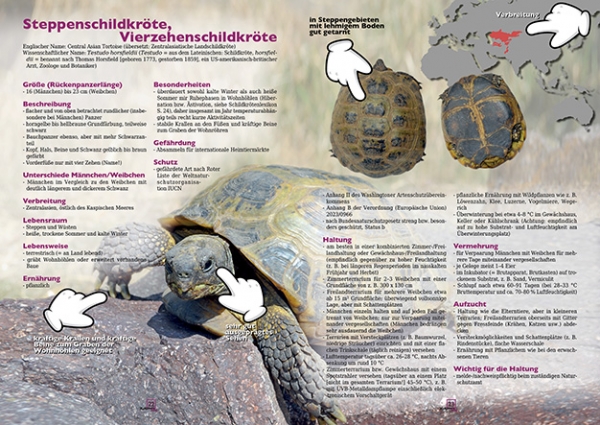 MARGINATA KIDS 2 - Futter