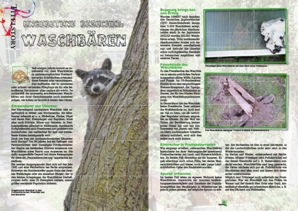 MARGINATA KIDS 3 - Freilandterrarien für Landschildkröten