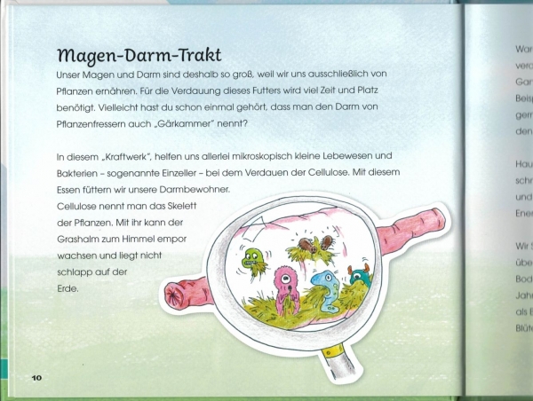 Griechische Landschildkröten - Das Erkundungsbuch für große und kleine Entdecker