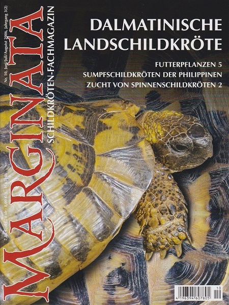Marginata 10 - Dalmatinische Landschildkröte
