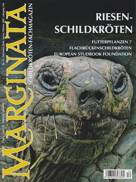 Marginata 12 - Riesenschildkröten