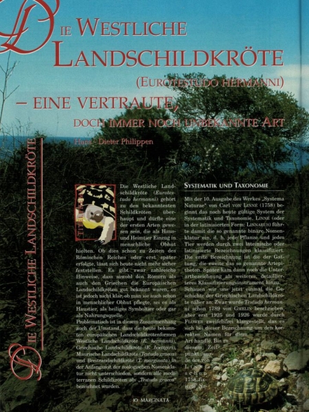 Marginata 14 - Westliche Landschildkröten