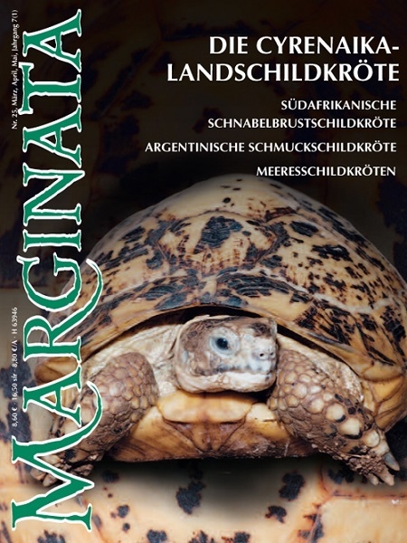 Marginata 25 - Die Cyrenaika Landschildkröte