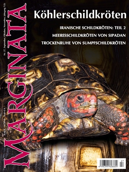 Marginata 27 - Köhlerschildkröten
