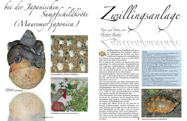 Marginata 28 -  Farbmutationen bei Schildkröten