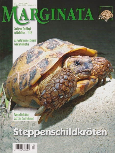 Marginata 41 - Steppenschildkröten