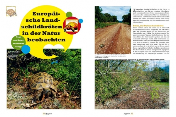 Marginata 44 - Europäische Landschildkröten in der Natur beobachten