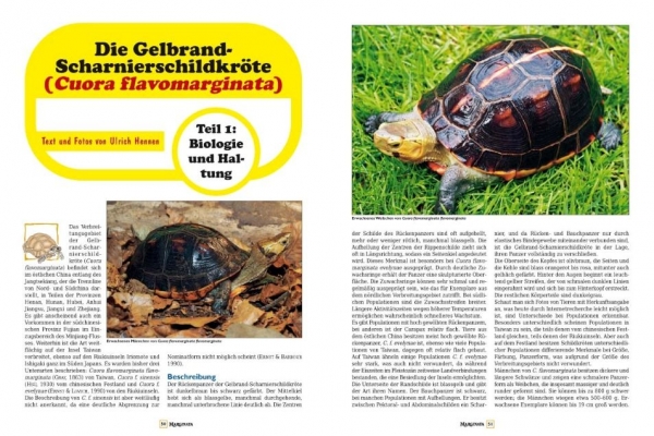 Marginata 44 - Europäische Landschildkröten in der Natur beobachten