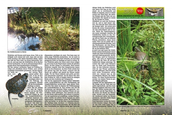 Marginata 46 - Die Europäische Sumpfschildkröte