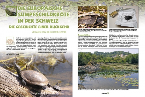 Marginata 46 - Die Europäische Sumpfschildkröte