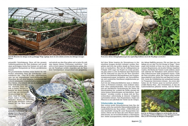 Marginata 48 - Schildkröten im Tierschutz