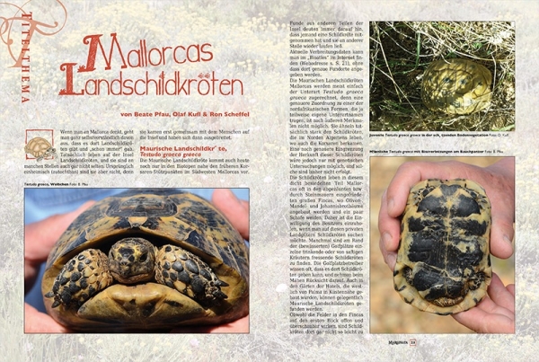 Marginata 58 - Balearen