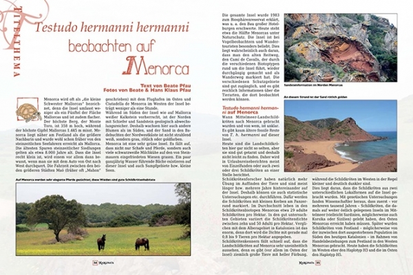 Marginata 58 - Balearen