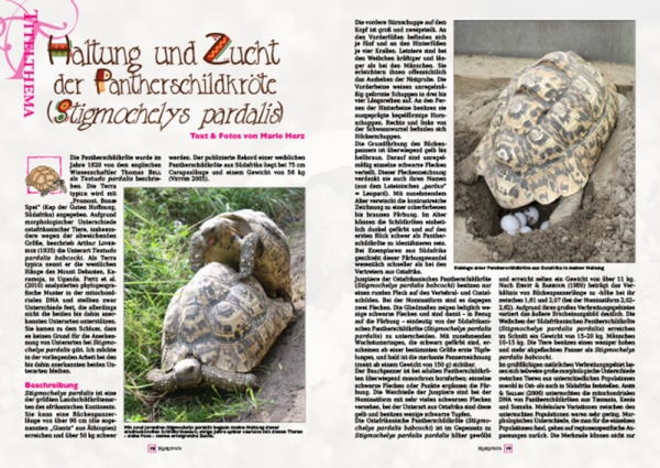 Marginata 68 - Pantherschildkröte, Stigmochelys pardalis