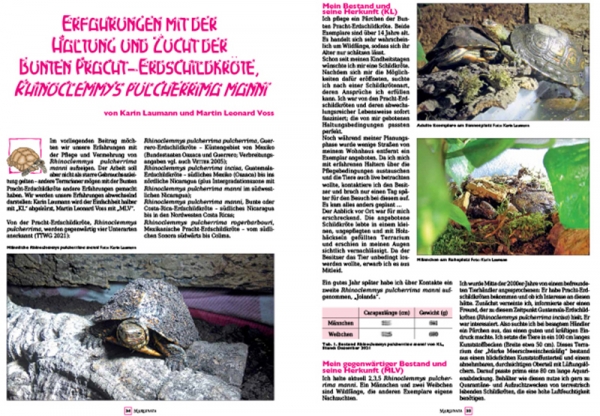 Marginata 68 - Pantherschildkröte, Stigmochelys pardalis