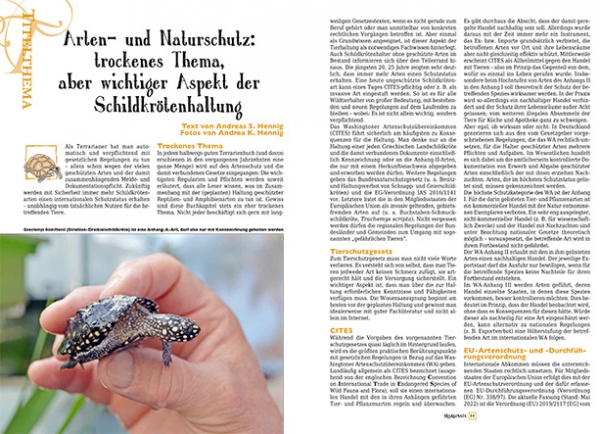 Marginata 70 - Schildkröten und Paragrafen