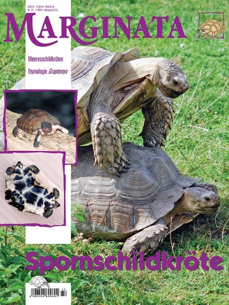 Marginata 77 - Spornschildkröte
