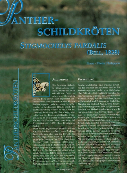 Marginata 8 - Pantherschildkröten (Geochelone babcocki)