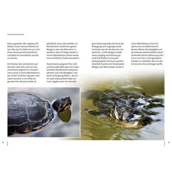Mein Leben als Wasserschildkröte - Der etwas andere Wasserschildkröten-Ratgeber