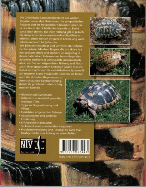Griechische Landschildkröten Testudo hermanni