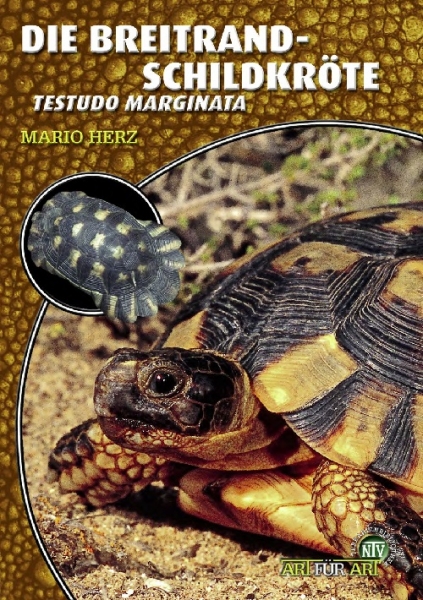 Die Breitrandschildkröte Testudo marginata, Art für Art,  NTV