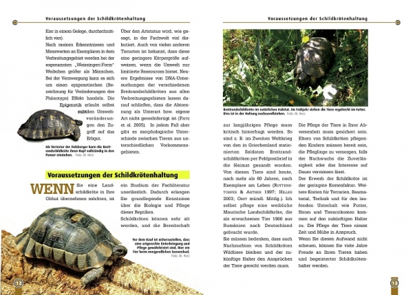 Die Breitrandschildkröte Testudo marginata, Art für Art,  NTV