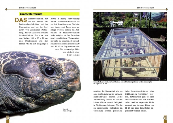 Die Breitrandschildkröte Testudo marginata, Art für Art,  NTV