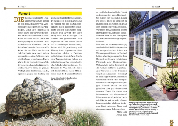 Die Pantherschildkröte Stigmochelys pardalis, Art für Art,  NTV