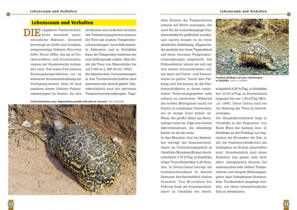 Die Pantherschildkröte Stigmochelys pardalis, Art für Art,  NTV
