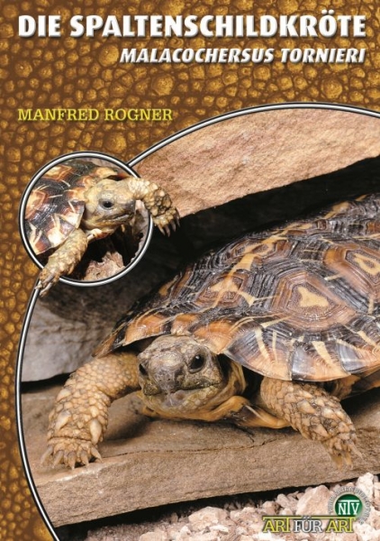 Die Spaltenschildkröte Malacocherus Tornieri, Art für Art,  NTV