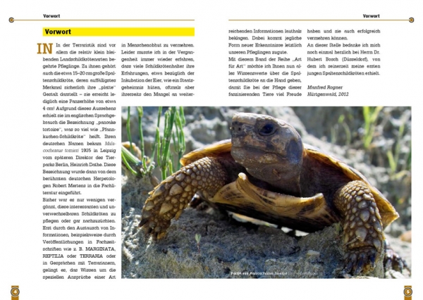 Die Spaltenschildkröte Malacocherus Tornieri, Art für Art,  NTV
