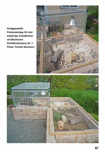 Landschildkröten - Freilandanlagen, Ricarda Schramm