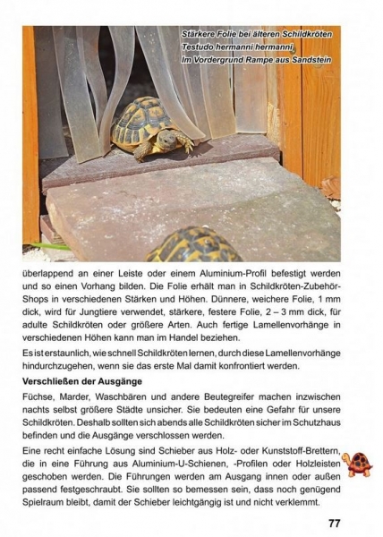 Landschildkröten - Freilandanlagen, Ricarda Schramm