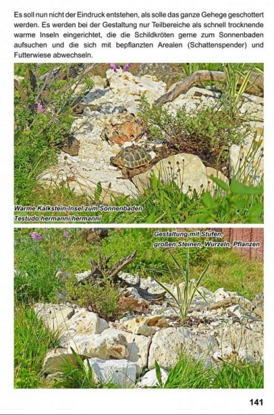 Landschildkröten - Freilandanlagen, Ricarda Schramm