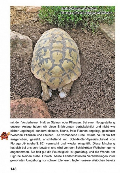 Landschildkröten - Freilandanlagen, Ricarda Schramm