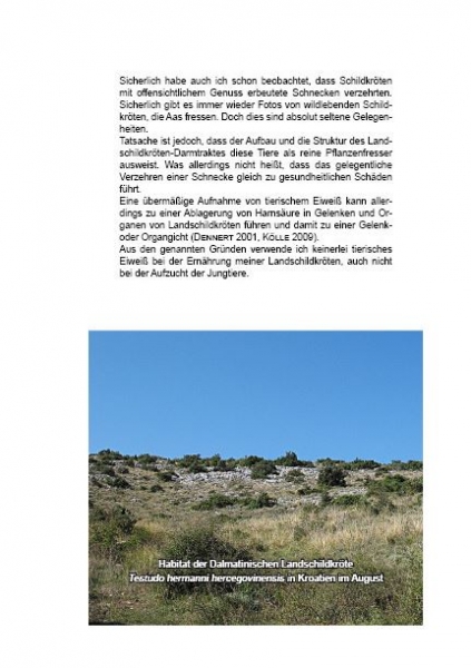Landschildkröten-Futterpflanzen Ricarda Schramm 3. Auflage