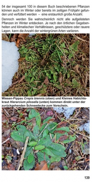Landschildkröten-Futterpflanzen Ricarda Schramm 3. Auflage