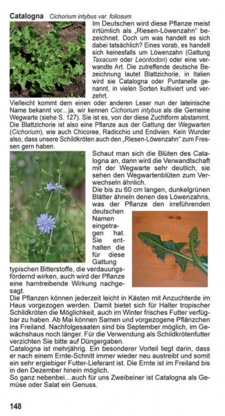 Landschildkröten-Futterpflanzen Ricarda Schramm 3. Auflage