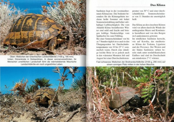 Sardinien, die Insel der europäischen Schildkröten - Wegehaupt