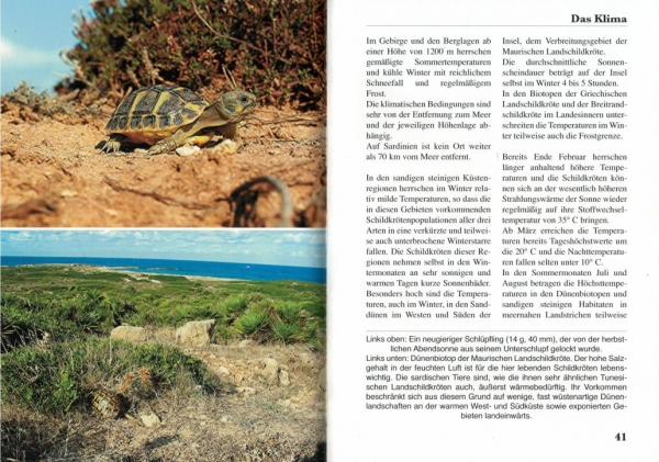 Sardinien, die Insel der europäischen Schildkröten - Wegehaupt