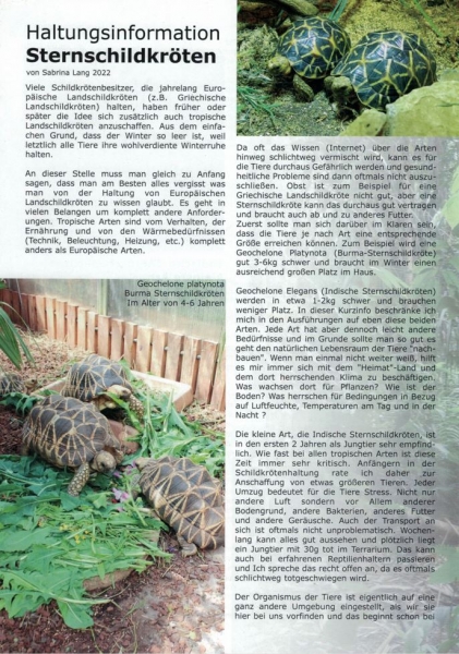 Haltungsinformation Sternschildkröten von Sabrina Lang 2022