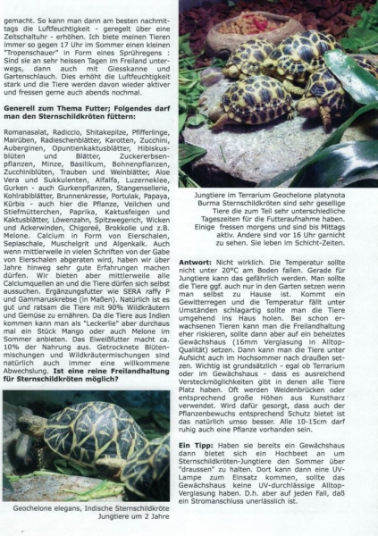 Haltungsinformation Sternschildkröten von Sabrina Lang 2022