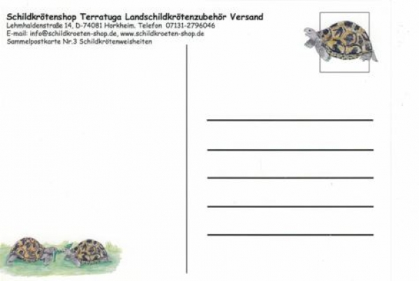 Sammelpostkarte Schildkrötenweisheit Nr. 3
