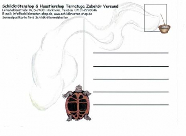 Sammelpostkarte Schildkrötenweisheit Nr. 6