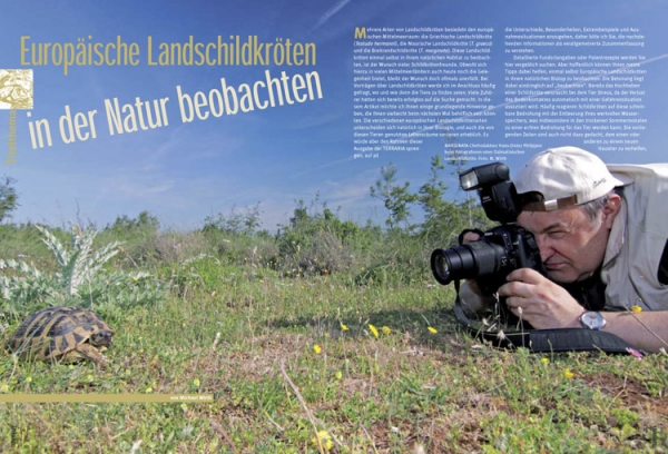 Terraria 22 - Europ. Landschildkröten in der Natur beobachten