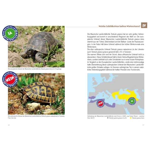 Winterstarre bei Europäischen Landschildkröten (2.Auflage)