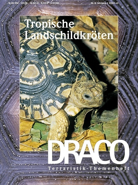 Draco 8 - Tropische Landschildkröten
