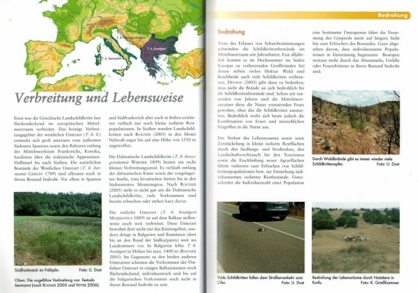 Griechische Landschildkröten - Pflege und Vermehrung